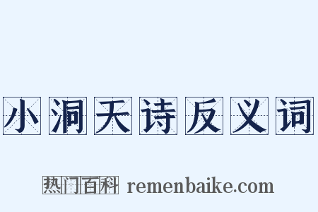 小洞天诗反义词是什么意思的图片